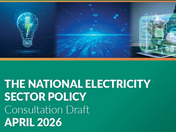 The National Electricity Sector Policy of Bermuda image